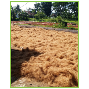 Coconut fibers