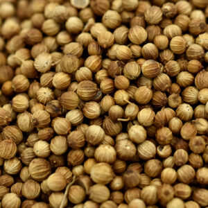 Coriander seeds