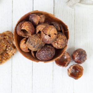 Soapnut