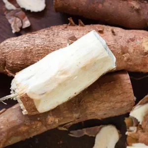 White casava