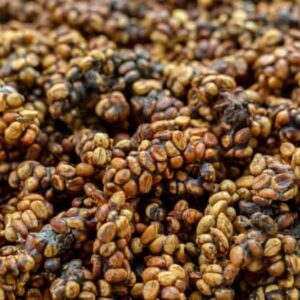 Luwak coffee