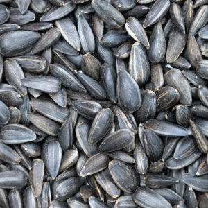 Sunflower seeds